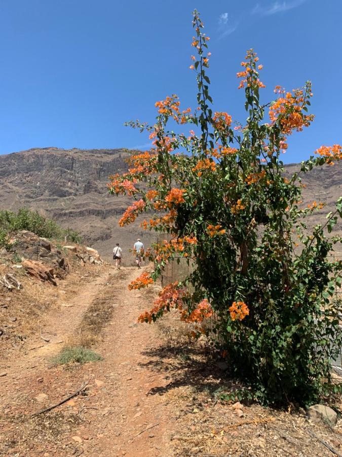 Hotel Masai Mara Resort Gran Canaria San Bartolomé المظهر الخارجي الصورة